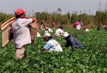 De Geestelijke Oefeningen voor een wereld in beweging