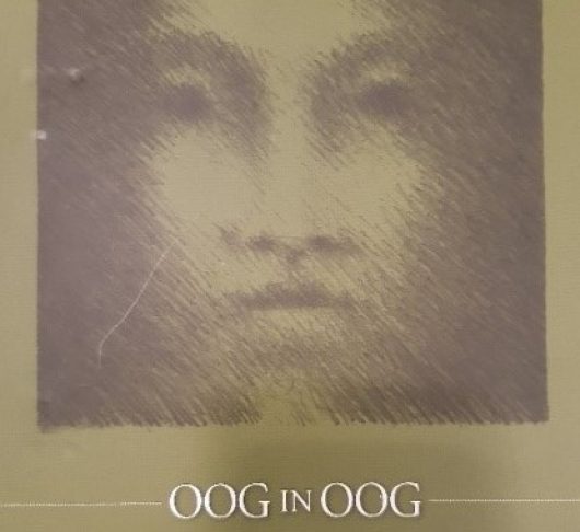 BOEK: Oog in Oog, Handboek G.O.