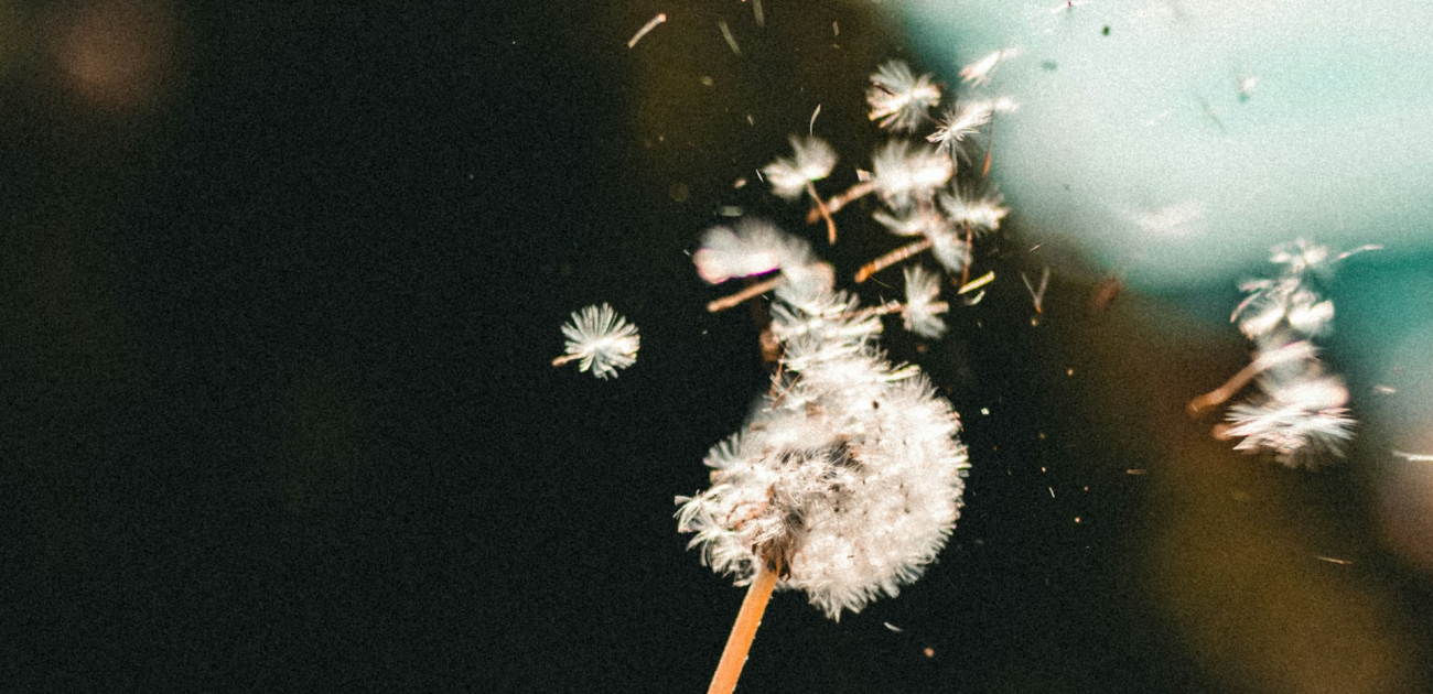 Transcendentie en transformatie in het contemplatief gebed