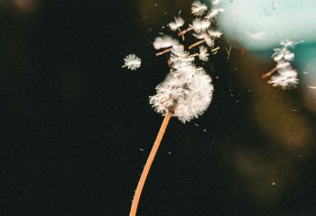 Transcendentie en transformatie in het contemplatief gebed