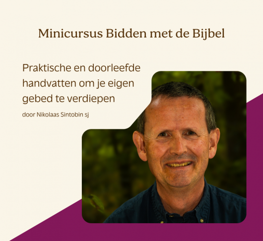 Mini-cursus bidden met de Bijbel – met Nikolaas Sintobin