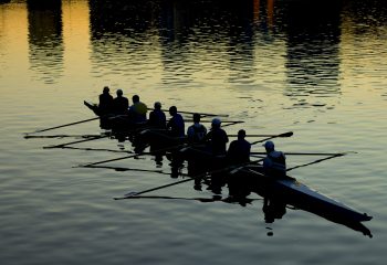 Gehoorzaamheid, aan de paus nog wel-- Hoezo?